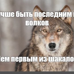 ���� �����, �����-���������, 35 ��� - ��������� 26 ������� 2023