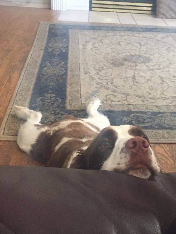 -    