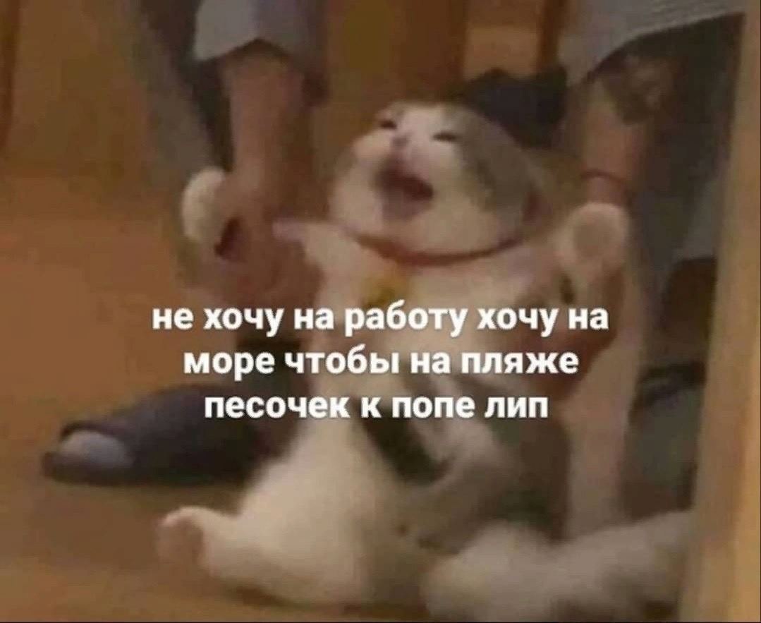 Эти забавные животные - 19 августа 2023 в 02:31