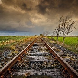 ����, �������, 49 ���