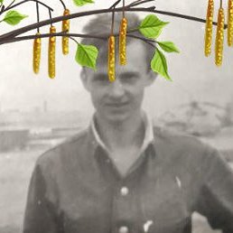 ��������, �����-���������, 55 ���