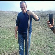 , 46 , 