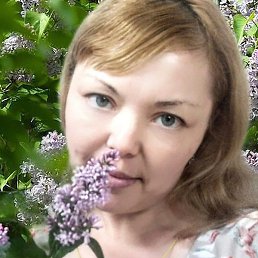 �����, �����������, 41 ���