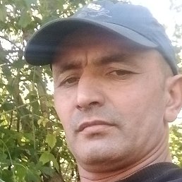 ������, ������ ��������, 43 ����