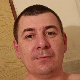 ������, ������, 41 ���