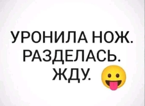   ! - 19  2023  14:24