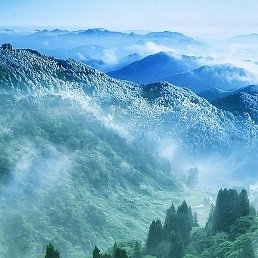 ������, ���������, 40 ���