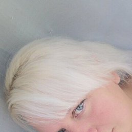 ���� �������, �����������, 48 ��� - ��������� 10 ���� 2023