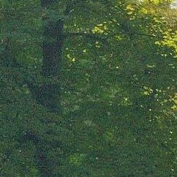 ������, ������, 24 ����