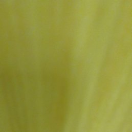 ����, ������, 20 ���