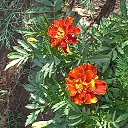 ���� �������, ���������, 67 ��� - ��������� 7 ���� 2023