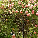 ���� ����, �����������, 57 ��� - ��������� 20 ���� 2023 � ������ ���� ����������