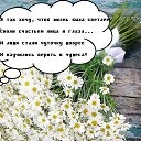 ���� �������, ���������, 71 ��� - ��������� 24 ������� 2023 � ������ ������ ��������