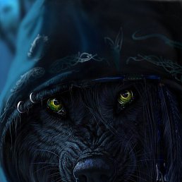 ����, ������, 46 ���