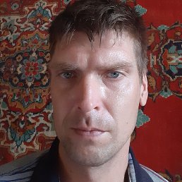 �������, ������, 41 ���