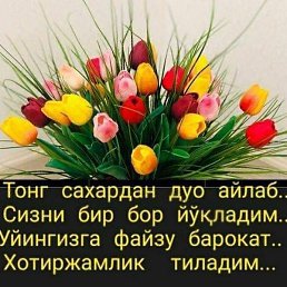 �����, �����, 40 ���