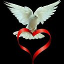���� Pavel, ������, 25 ��� - ��������� 12 ������� 2023 � ������ ���� ����������