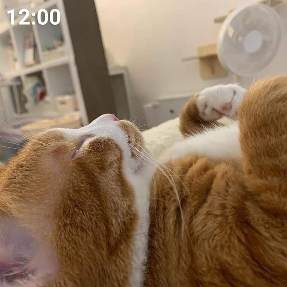   - 2