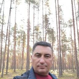 Анатолий, 41, Гатчина