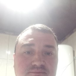 ���� �����, ������-��-����, 42 ���� - ��������� 17 ����� 2023