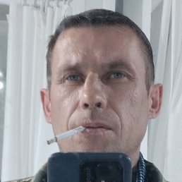 ����, �����-���������, 41 ���