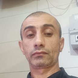 �����, ������, 41 ���