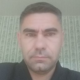 ������, �����, 41 ���