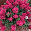 ���� ��������, �����, 46 ��� - ��������� 28 �������� 2023 � ������ ���� ����������