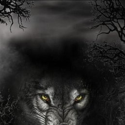 ���� ������, �����������, 42 ���� - ��������� 2 �������� 2023