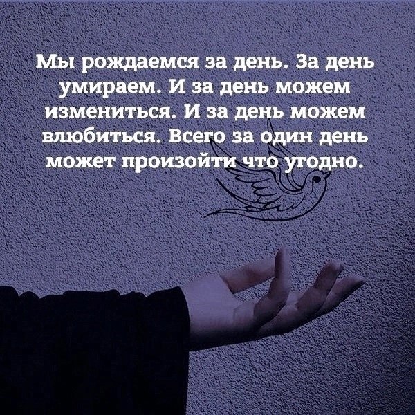 ��� � ����