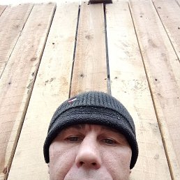 ����, ������, 46 ���