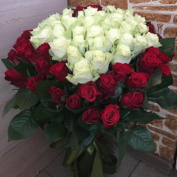 ����, �����-���������, 40 ���