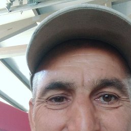 �����, ���������, 52 ����