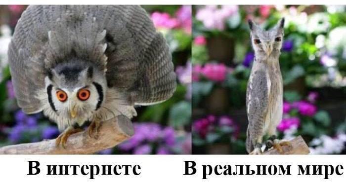Странная штука жизнь виртуальная, Хоть электронная - все же реальная Те же в ней страсти, любовь и ...