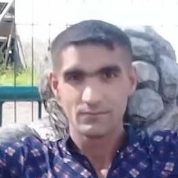 ����, �������, 38 ���