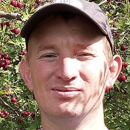 ������, ���������, 36 ���