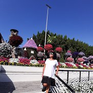 НИКА, , Курск НИКА, , Курск