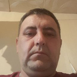 ������, �������, 46 ���