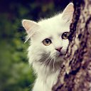 ���� �, ����� - ��������� 23 ������� 2023 � ������ ���� ����������