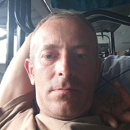 �����, �������, 41 ���