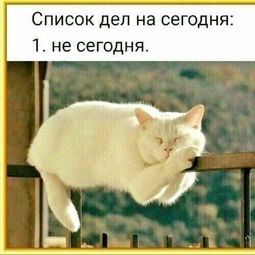  - 1  2023  18:34