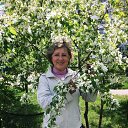 ���� ������, ��������� - ��������� 15 ������� 2023 � ������ ���� ����������