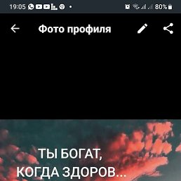 �����, ������, 43 ����