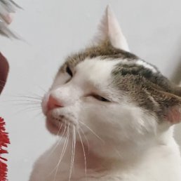 , , 22 