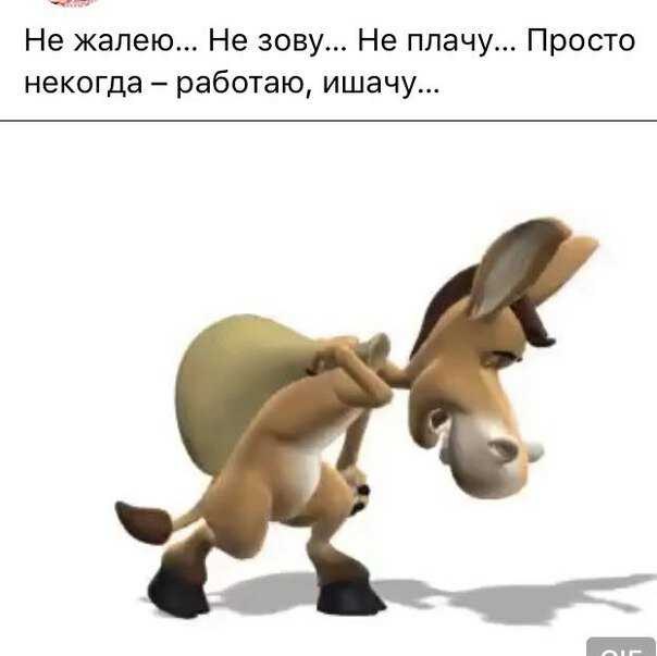   - 21  2023  16:39