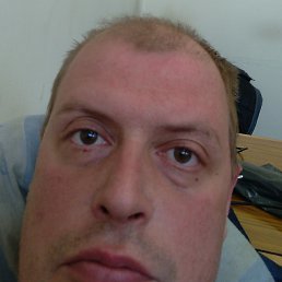 ������, ������, 41 ���