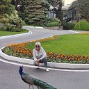 ���� ������, �����������, 60 ��� - ��������� 5 ���� 2023