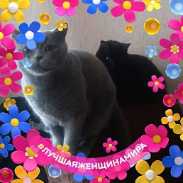 �����, ���������, 50 ���