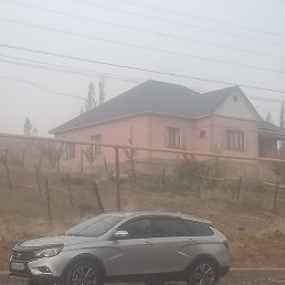 �����, �������, 42 ����