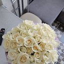 ���� ����, ������, 38 ��� - ��������� 22 ���� 2023 � ������ ���� ����������